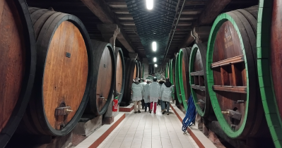 Les premiers fûts de fermentation