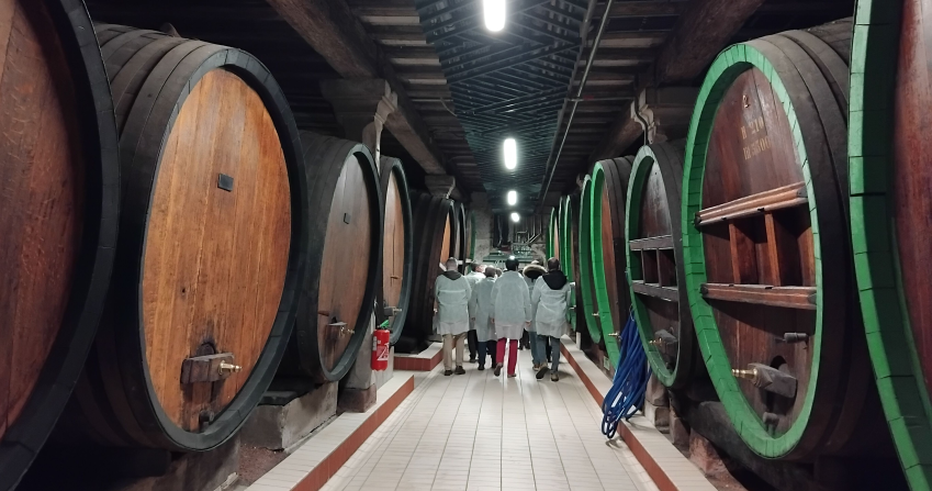 Les premiers fûts de fermentation